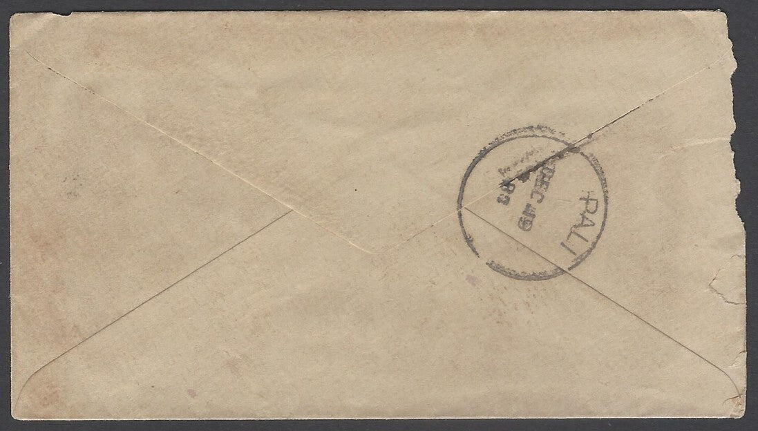 AOP India 1883 cover - postmark interest - T.P.O.