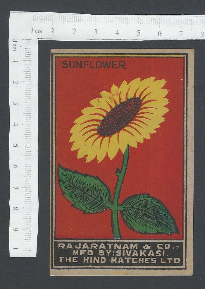India 1930s-1940s large packet size matchbox label SUNFLOWER