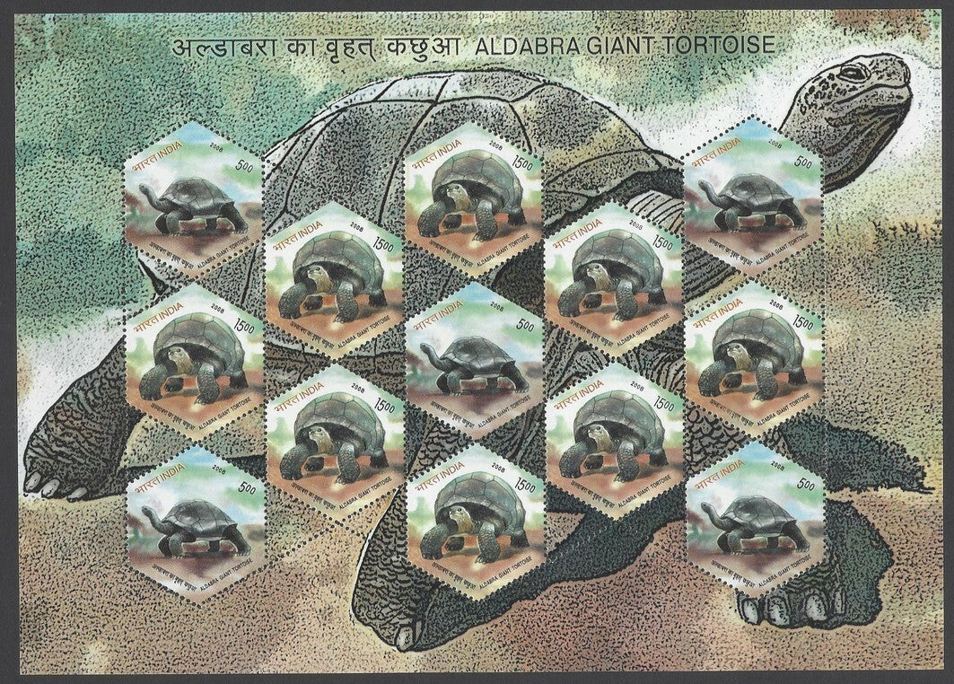India 2008 Tortoise complete set of 4 sheetlets MNH