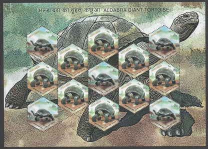 India 2008 Tortoise complete set of 4 sheetlets MNH