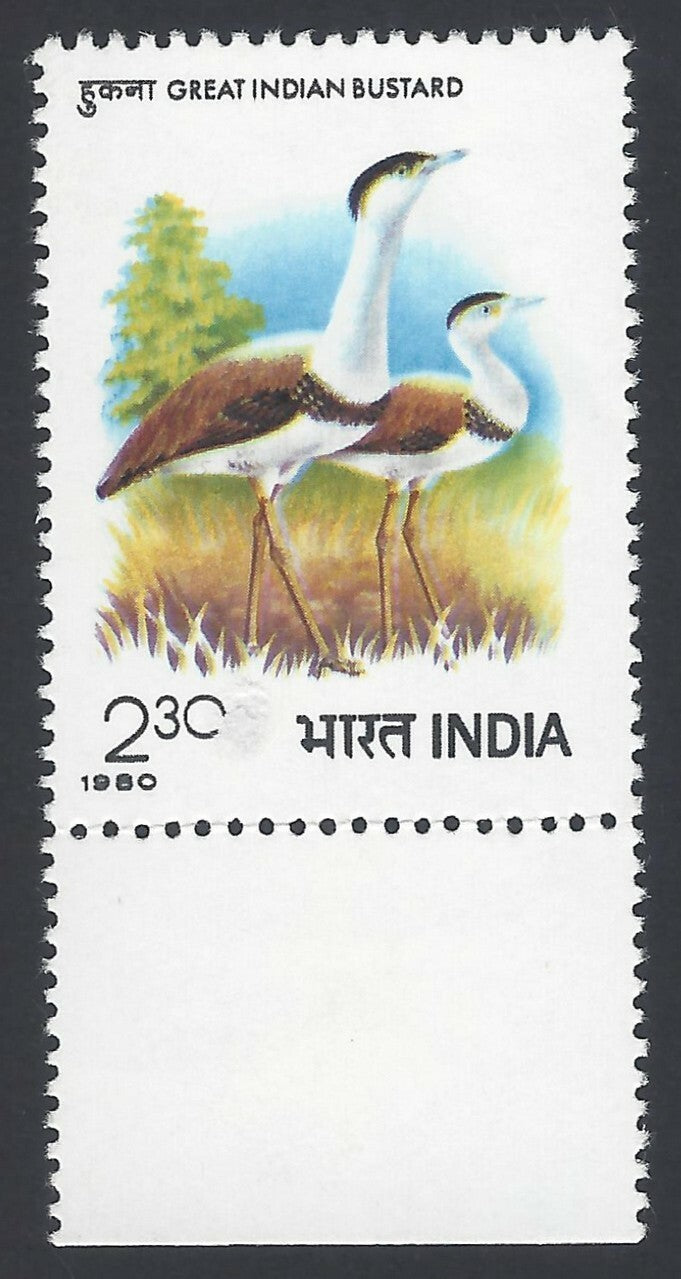 India 1980 International Symposium on the  Great Indian Bustards MNH
