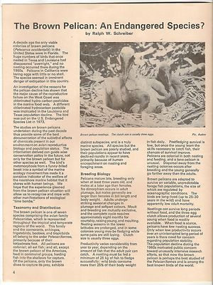 WWF World Wildlife Fund India 1981 4th quarter issue Sea Turtles Brown Pelican.