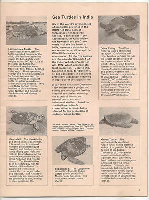 WWF World Wildlife Fund India 1981 4th quarter issue Sea Turtles Brown Pelican.