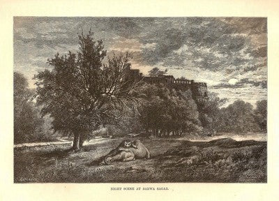 India 1876 Wood Engraving NIGHT SCENE AT BARWA SAGAR - LIONS
